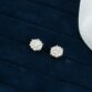 keira-17-diamond-earring-14k-wg-lookbook-25_jpg