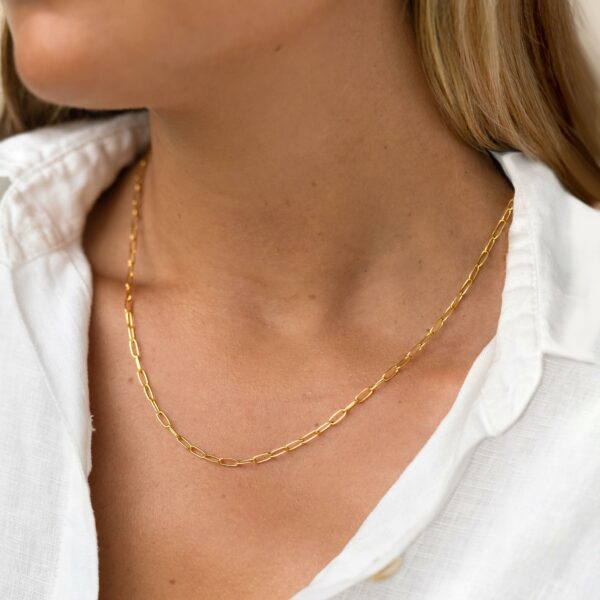 keira-18-paperclip-chain-necklace-gv-model-61-edit-cropped_2.jpg